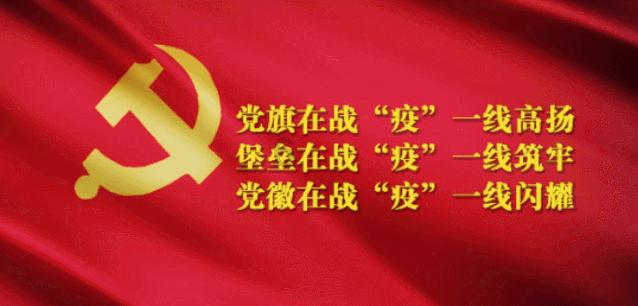 狗能看见什么颜色游戏画面