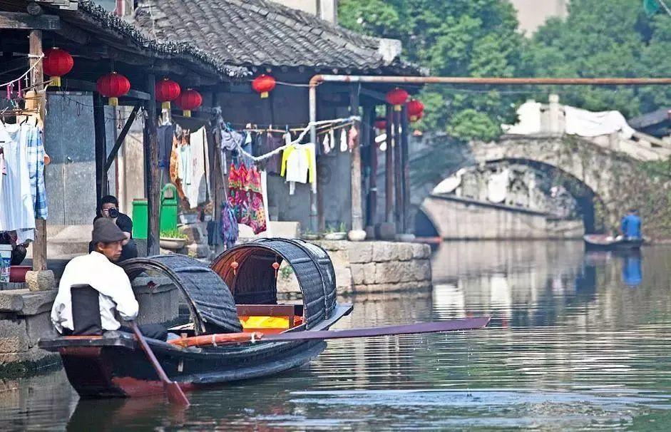 狗能看见什么颜色游戏画面